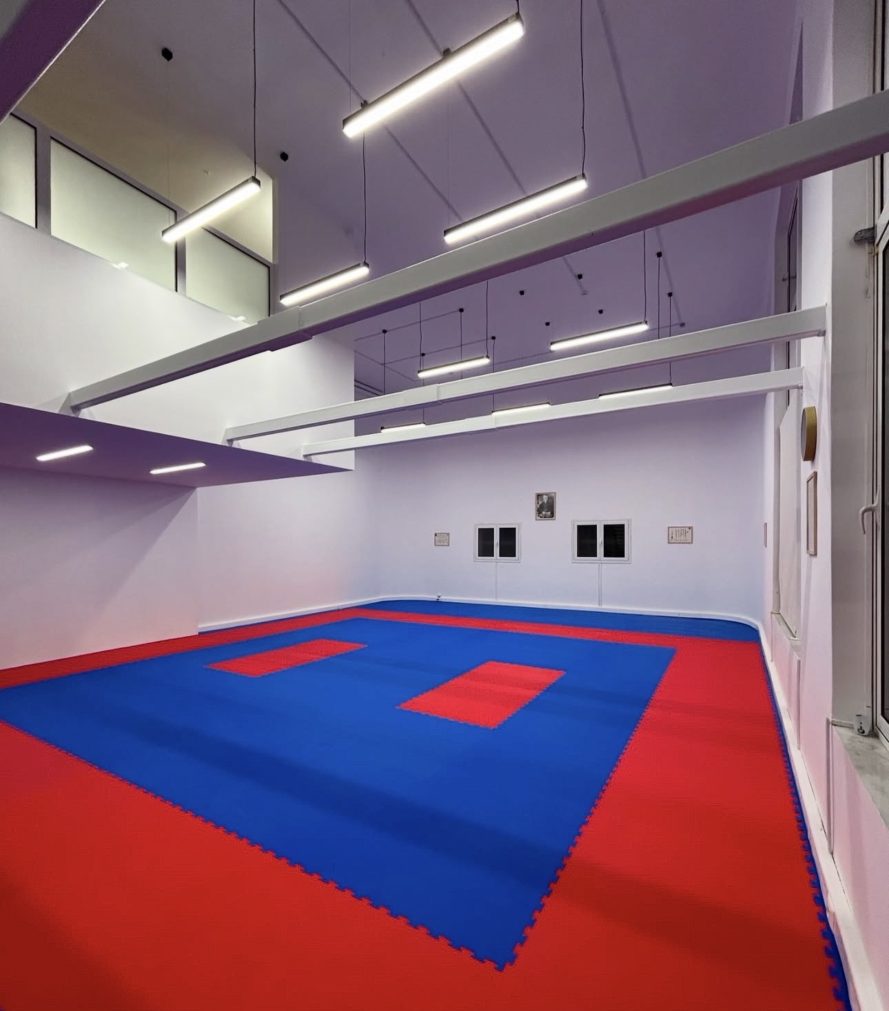 Tatami του dojo από ψηλά